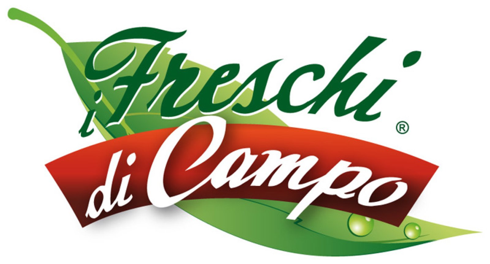 Logo O.R.T.O. VERDE S.C.A.P.A.